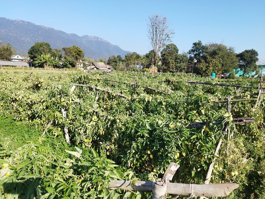 समूहबाट आर्थिक समृद्धि खोज्दै महिला