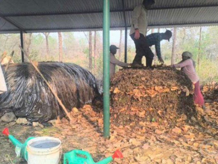 प्राङ्गारिक मल उत्पादनसँगै डढेलो नियन्त्रण