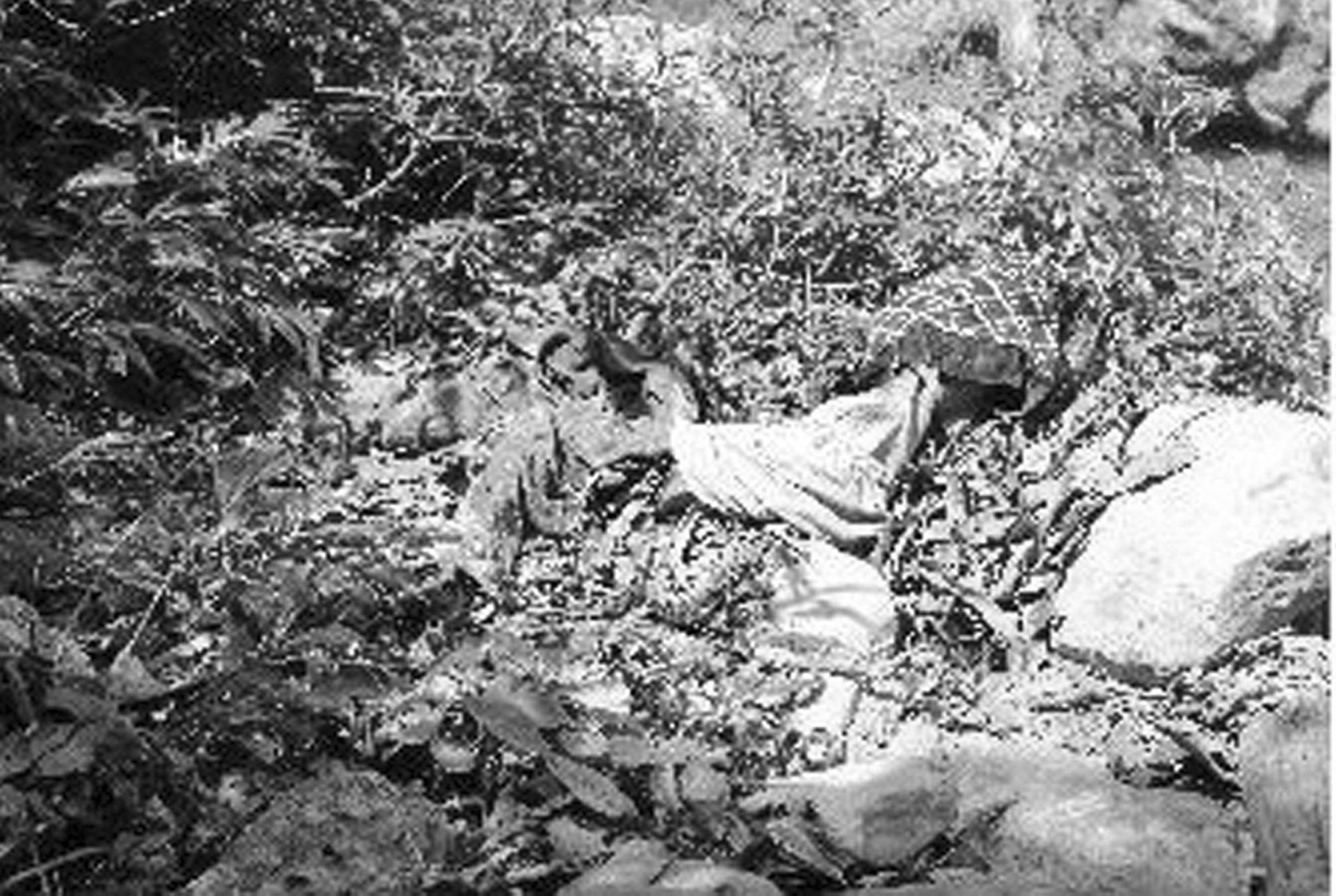 पाल्पाको तिनाउमा सडेको अवस्थामा बेवारिसे शव फेला