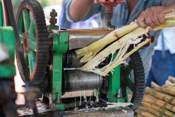 ‘मेहनत गर्नुपर्छ, आम्दानीका स्रोत भेटिन्छन्’