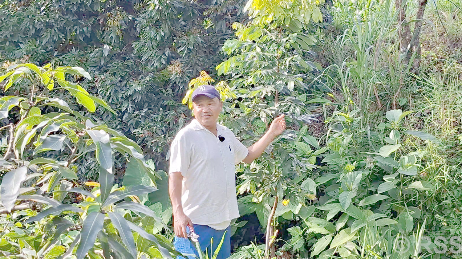 जागिरसँगै कृषि कर्म