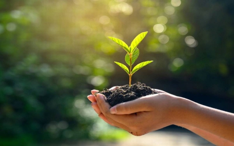 प्राकृतिक प्रकोप कम गर्न भू–संरक्षण दिवस