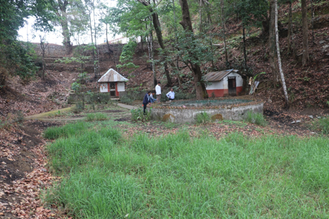 रामपुरमा धुमधामका साथ रामसीता विवाह उत्सव मनाउँदै  