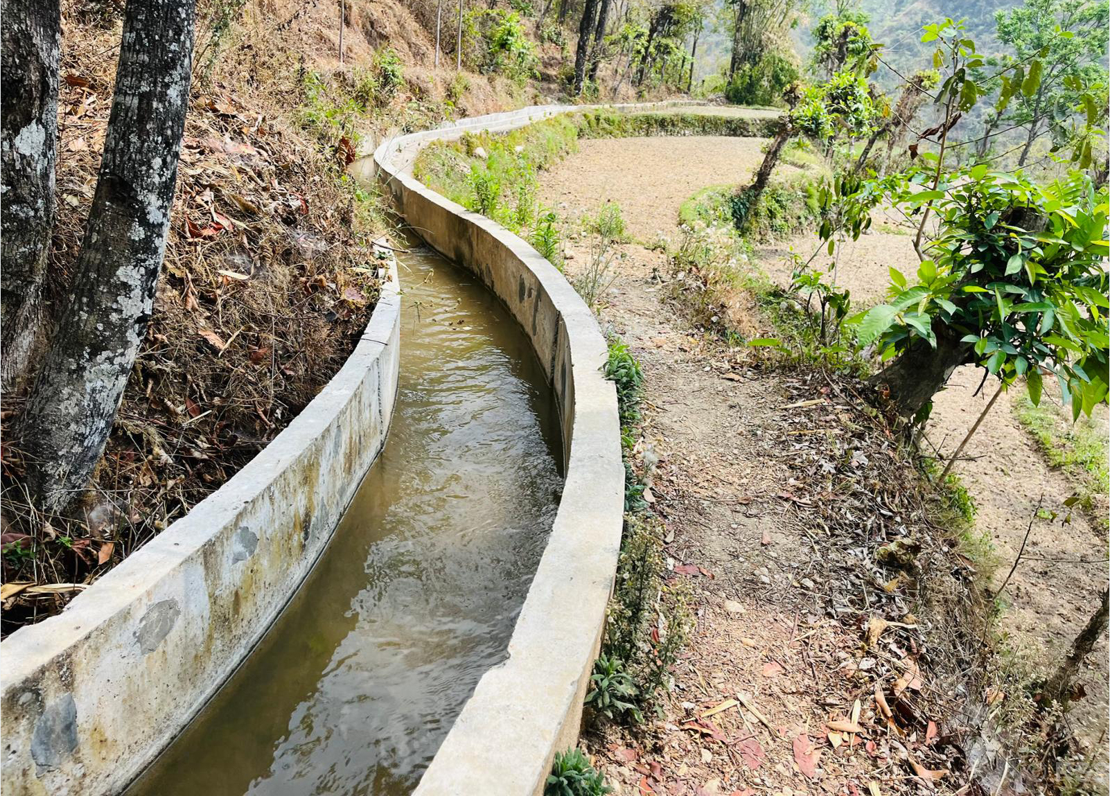 वर्षौंदेखि बाँझिएका खेत सिँचाइले हराभरा, किसान भए उत्साहित