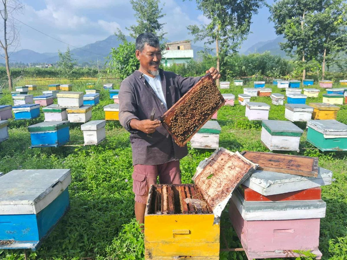 दाङमा व्यावसायिक मौरीपालन किसानको सङ्ख्या पाँच सय बढी