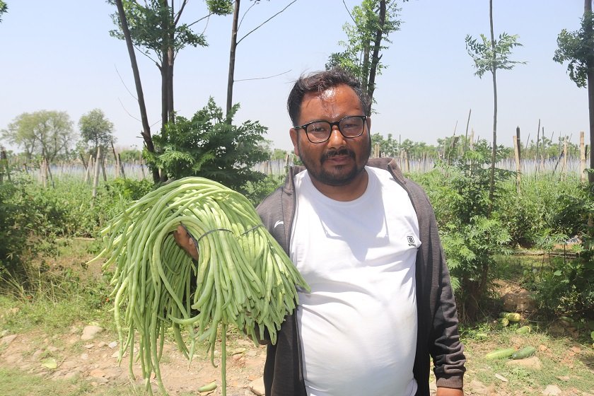 जग्गा भाडामा लिएर व्यावसायिक तरकारी खेतीमा रमाउँदै युवा महेन्द्र खड्का